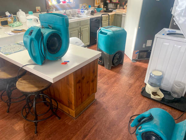 Best Water damage restoration near me  in Canyon Creek, WA
