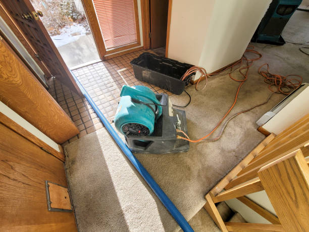 Best Water damage restoration specialists  in Canyon Creek, WA