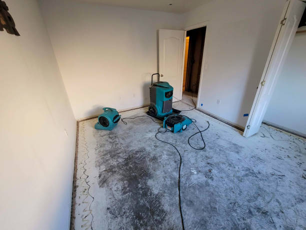 Best Mold removal after water damage  in Canyon Creek, WA