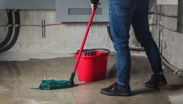 Best Sewage cleanup and water damage restoration  in Canyon Creek, WA
