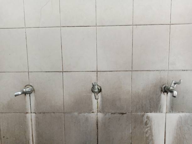 Best Water damage restoration near me  in Canyon Creek, WA