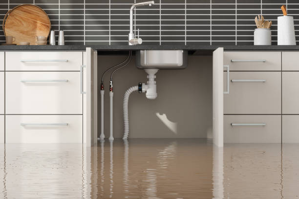 Best Professional water damage repair  in Canyon Creek, WA