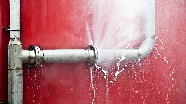 Best Fire Damage Restoration  in Canyon Creek, WA